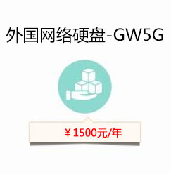 外国网络硬盘-GW5G